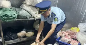 thịt heo bốc mùi