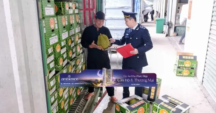 Nghị định 46 Cần giải pháp căn cơ thay vì chỉ hoãn thi hành