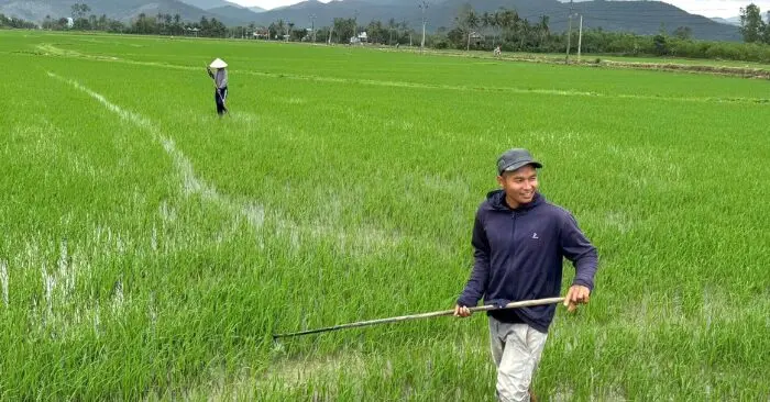 Tết ở rốn lũ