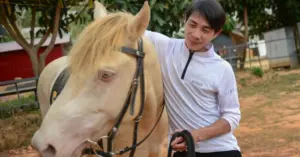 cặp đôi bán ô tô mua ngựa Đà Lạt