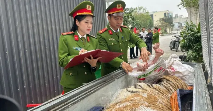 Hai đối tượng xây hầm kín,