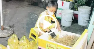 cậu bé rao bán trứng
