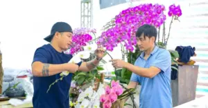 Nghề đếm cành lấy tiền
