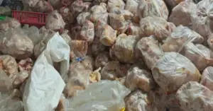 thịt gà đông lạnh không rõ nguồn gốc