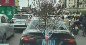 xe biển xanh bị phạt