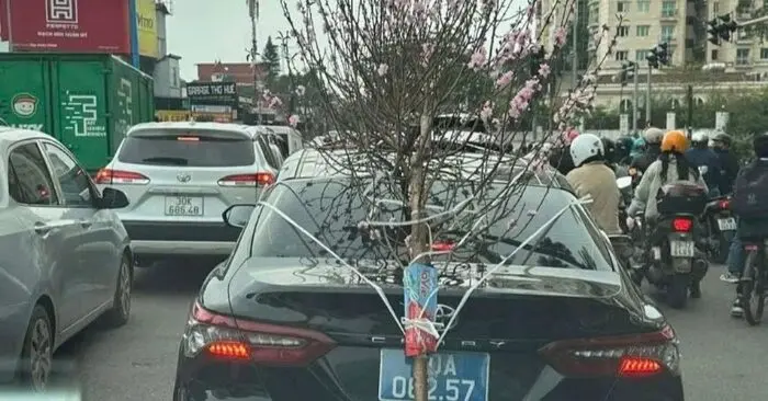 xe biển xanh bị phạt