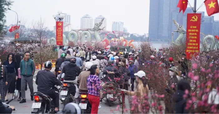 Đào quất đồng giá