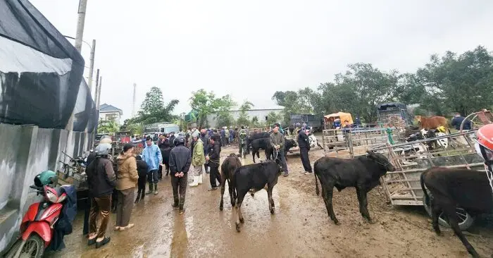 Chợ Nhe Hà Tĩnh