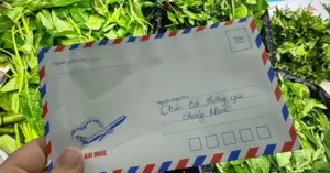 vượt 500km thăm thông gia