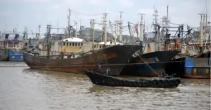 bắt tàu cá Trung Quốc