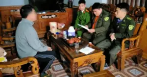 khai thác gỗ trái phép