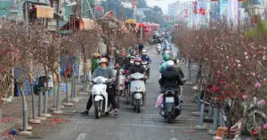 Dự báo thời tiết 10 ngày