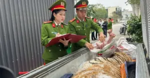 Xây hầm kín nấu cao hổ Thanh Hóa.