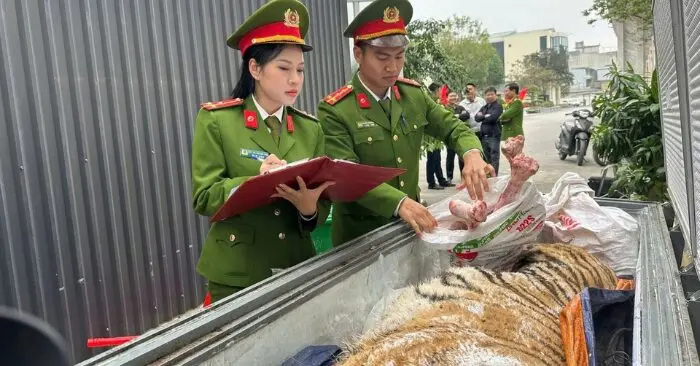 Xây hầm kín nấu cao hổ Thanh Hóa.
