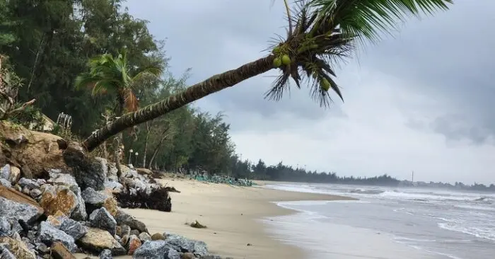 Tắm biển Mỹ Khê