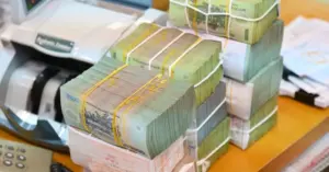 Đăng ký mã số thuế cho thuê tài sản.