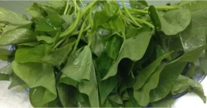 lợi ích của rau khoai lang