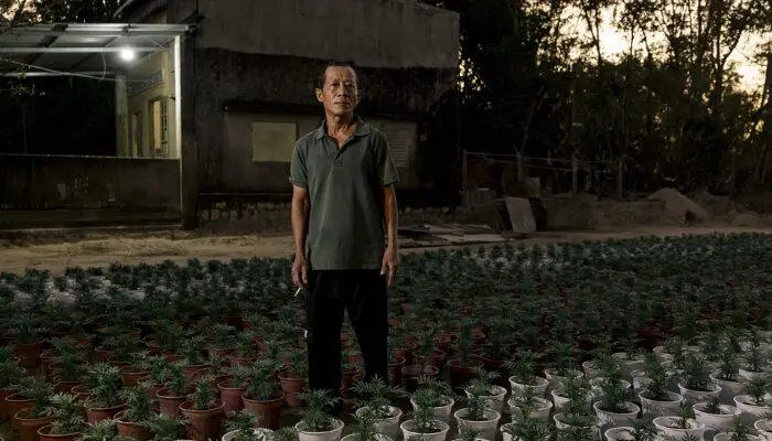 chạy Tết sau lũ