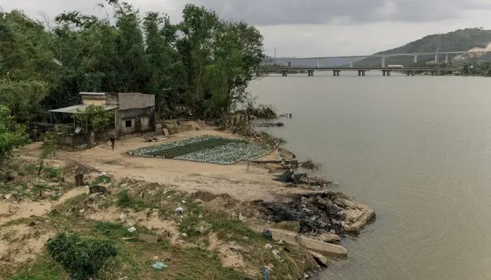 chạy Tết sau lũ