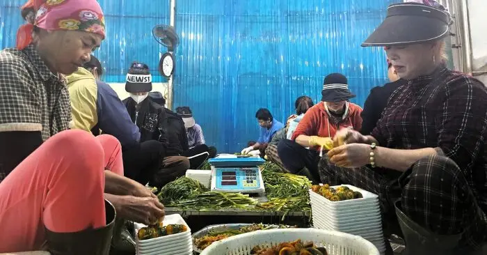 Làng nghề chế biến lươn Phan Thanh
