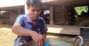 Rượu AVeat