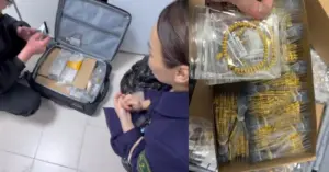 hành khách để quên 12kg vàng trên tàu cao tốc