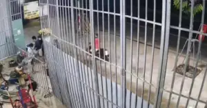 đuổi chém cướp tài sản