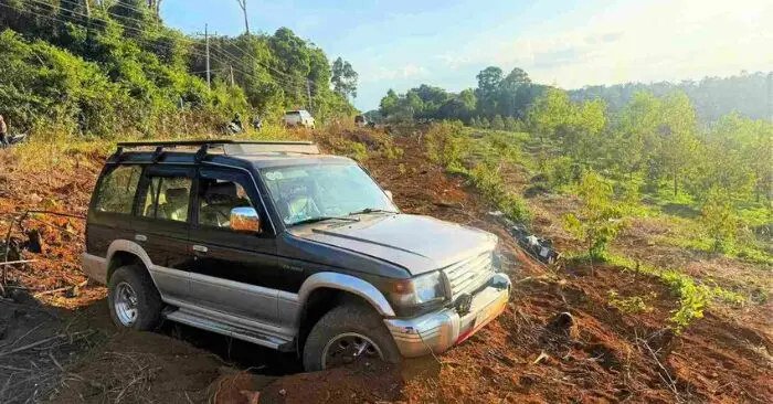 bắt tạm giam tài xế lấn làn tông chết 3 người