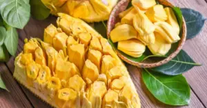 quả mít