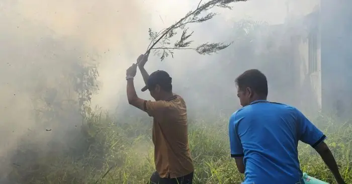 cháy bãi đất hoang