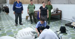 phân bón lậu