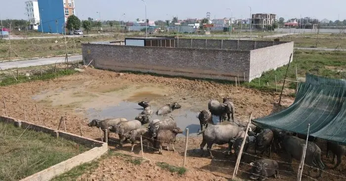 chuyển đất nông nghiệp sang đất ở