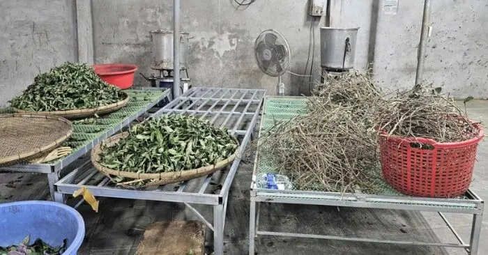 thần y ba đời