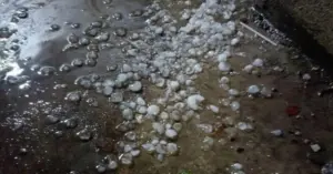 Mưa đá kèm giông lốc.