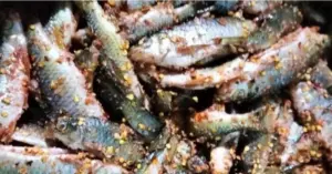 Ngộ độc cá ủ chua.