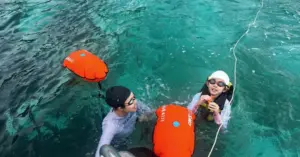 ảnh rong mơ Côn Đảo.