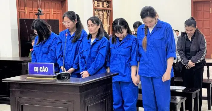 Đường dây mang thai hộ