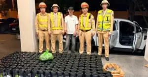 khí cười