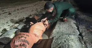 vận chuyển 97kg thuốc nổ