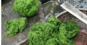 Rêu đá nướng