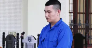 va li màu hồng