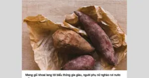 thông gia