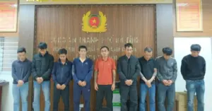 Sới bạc trại lợn