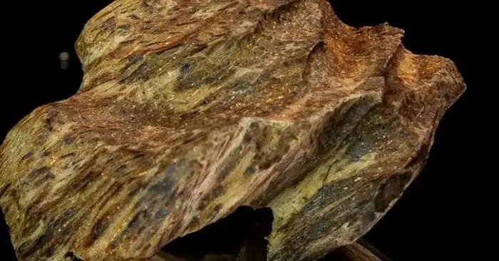 lừa mua kỳ nam giả