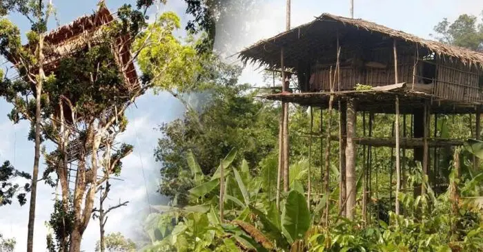 Bộ tộc Korowai