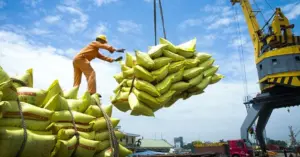 Xuất khẩu gạo Việt Nam