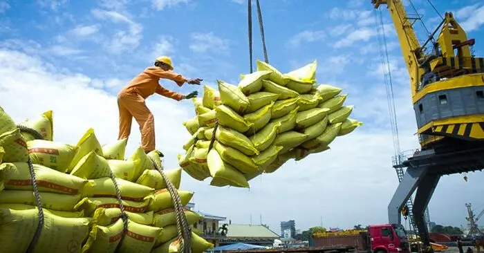 Xuất khẩu gạo Việt Nam
