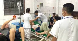 Ngộ độc rau rừng