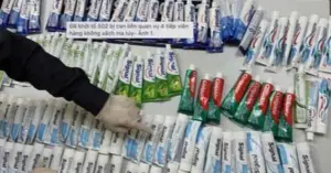 chuyên án VN10