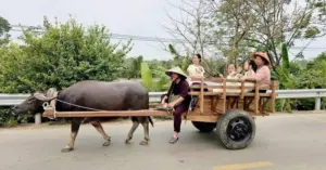 Làng cổ Đường Lâm